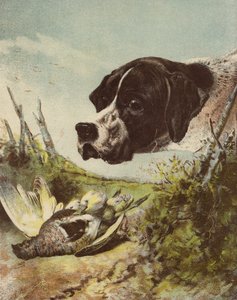 Pointer og agerhøne af English School